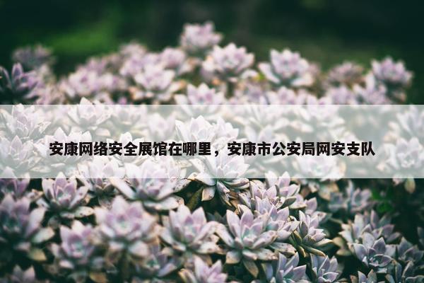 安康网络安全展馆在哪里，安康市公安局网安支队