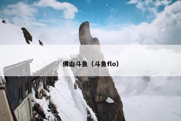 佛山斗鱼（斗鱼flo）
