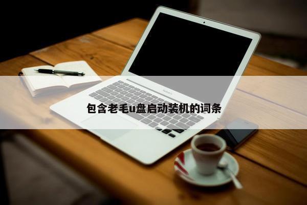 包含老毛u盘启动装机的词条