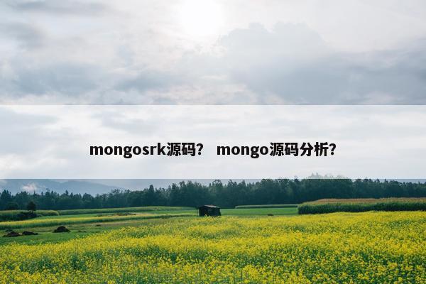 mongosrk源码？ mongo源码分析？