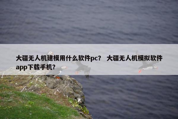 大疆无人机建模用什么软件pc？ 大疆无人机模拟软件app下载手机？