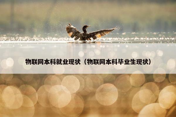 物联网本科就业现状（物联网本科毕业生现状）