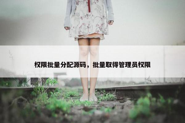权限批量分配源码，批量取得管理员权限