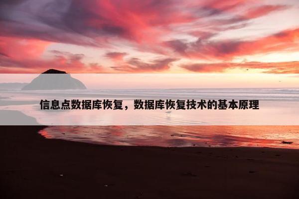 信息点数据库恢复，数据库恢复技术的基本原理