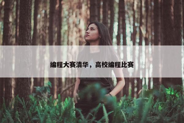 编程大赛清华，高校编程比赛