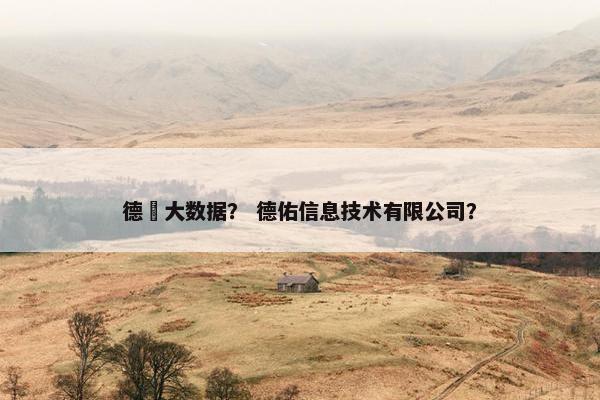 德祐大数据？ 德佑信息技术有限公司？