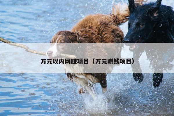万元以内网赚项目（万元赚钱项目）