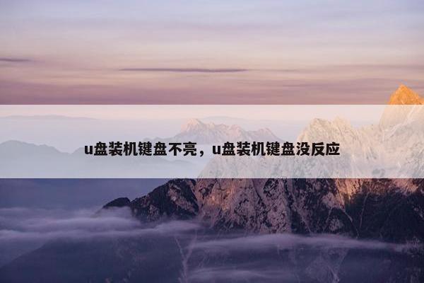 u盘装机键盘不亮，u盘装机键盘没反应