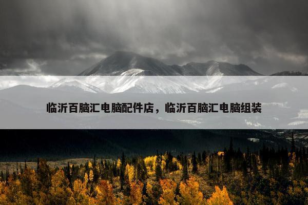 临沂百脑汇电脑配件店，临沂百脑汇电脑组装