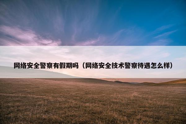 网络安全警察有假期吗（网络安全技术警察待遇怎么样）
