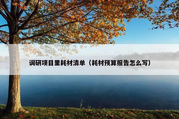 调研项目里耗材清单（耗材预算报告怎么写）