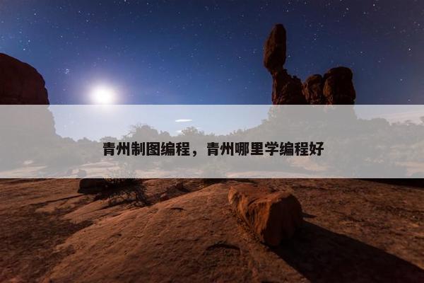 青州制图编程，青州哪里学编程好