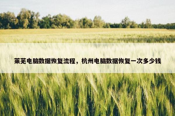 莱芜电脑数据恢复流程，杭州电脑数据恢复一次多少钱