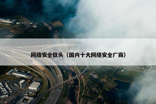 网络安全巨头（国内十大网络安全厂商）