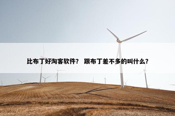 比布丁好淘客软件？ 跟布丁差不多的叫什么？