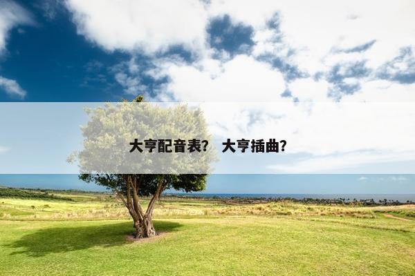 大亨配音表？ 大亨插曲？