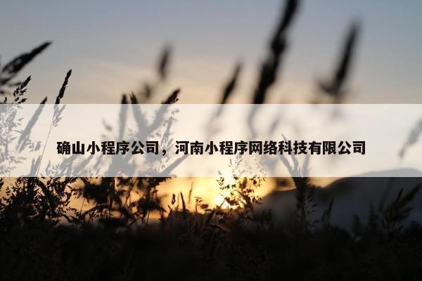 确山小程序公司，河南小程序网络科技有限公司