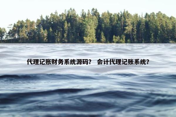 代理记账财务系统源码？ 会计代理记账系统？