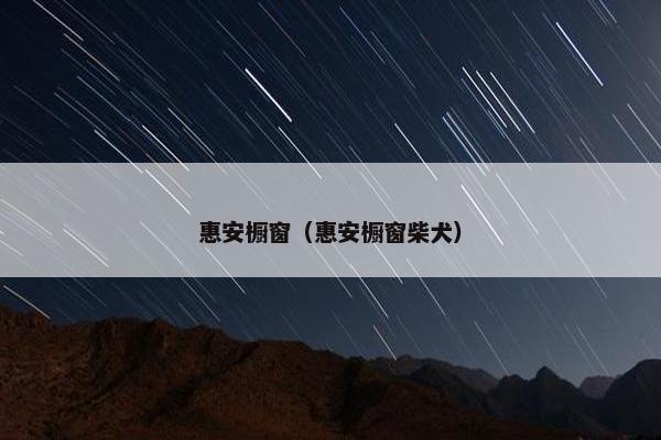 惠安橱窗（惠安橱窗柴犬）