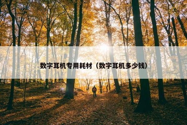 数字耳机专用耗材（数字耳机多少钱）