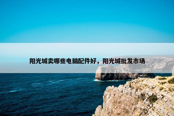 阳光城卖哪些电脑配件好，阳光城批发市场