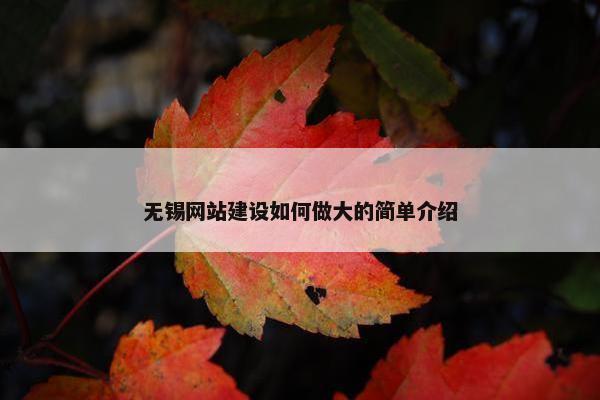 无锡网站建设如何做大的简单介绍