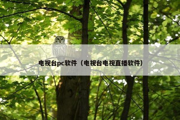 电视台pc软件（电视台电视直播软件）