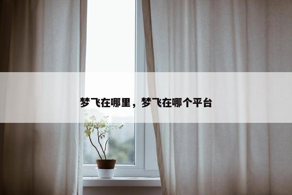 梦飞在哪里，梦飞在哪个平台