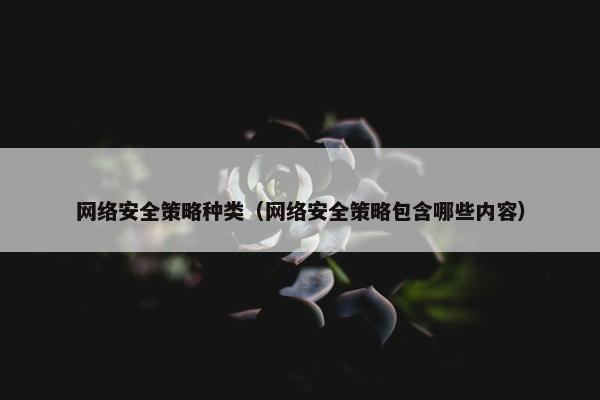 网络安全策略种类（网络安全策略包含哪些内容）