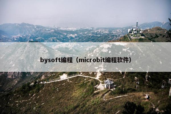bysoft编程（microbit编程软件）