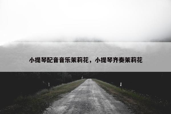 小提琴配音音乐茉莉花，小提琴齐奏茉莉花