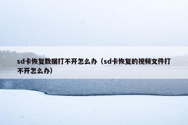 sd卡恢复数据打不开怎么办（sd卡恢复的视频文件打不开怎么办）