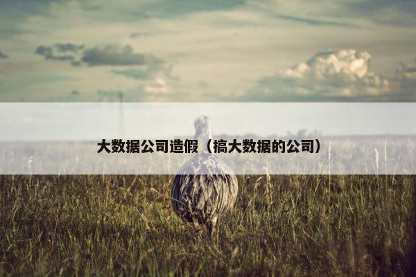 大数据公司造假（搞大数据的公司）