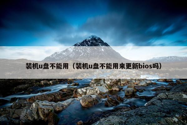 装机u盘不能用（装机u盘不能用来更新bios吗）
