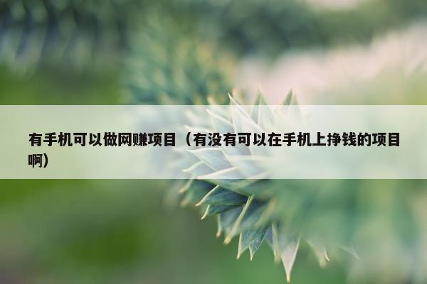 有手机可以做网赚项目（有没有可以在手机上挣钱的项目啊）
