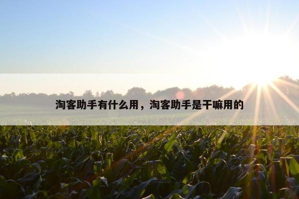 淘客助手有什么用，淘客助手是干嘛用的