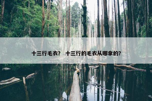 十三行毛衣？ 十三行的毛衣从哪拿的？