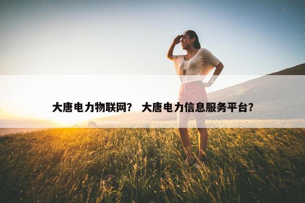 大唐电力物联网？ 大唐电力信息服务平台？
