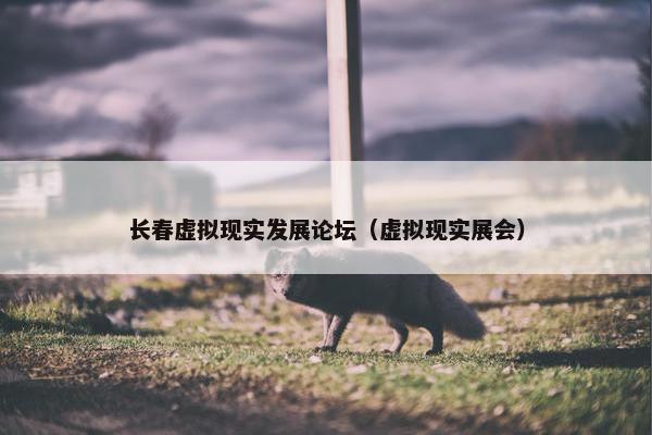 长春虚拟现实发展论坛（虚拟现实展会）
