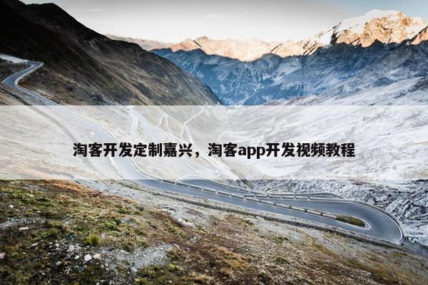 淘客开发定制嘉兴，淘客app开发视频教程