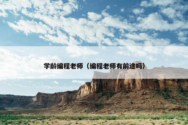 学龄编程老师（编程老师有前途吗）