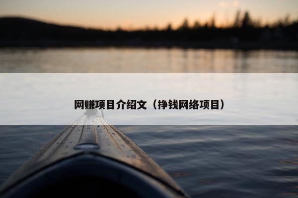 网赚项目介绍文（挣钱网络项目）