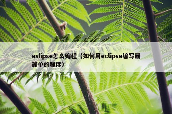 eslipse怎么编程（如何用eclipse编写最简单的程序）