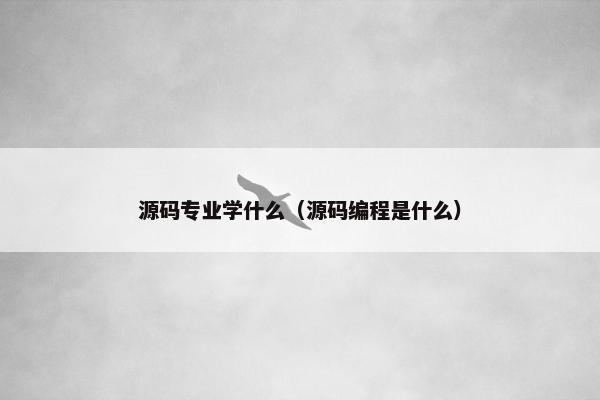 源码专业学什么（源码编程是什么）
