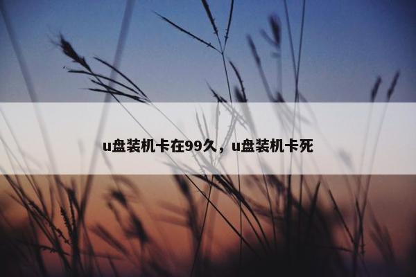 u盘装机卡在99久，u盘装机卡死