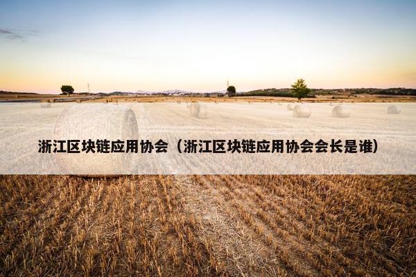 浙江区块链应用协会（浙江区块链应用协会会长是谁）