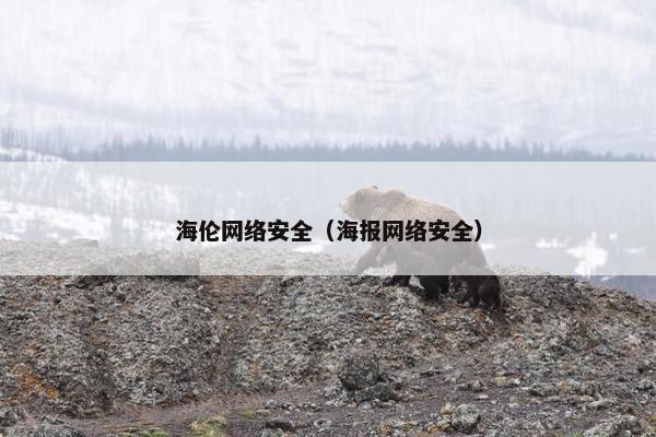 海伦网络安全（海报网络安全）