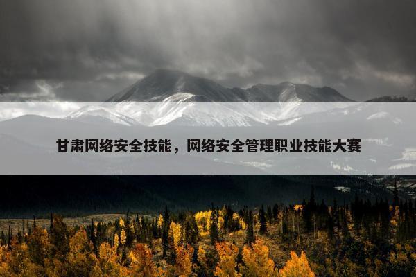 甘肃网络安全技能，网络安全管理职业技能大赛