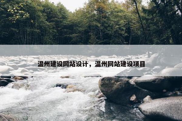温州建设网站设计，温州网站建设项目