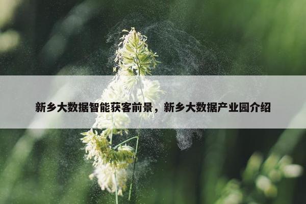 新乡大数据智能获客前景，新乡大数据产业园介绍